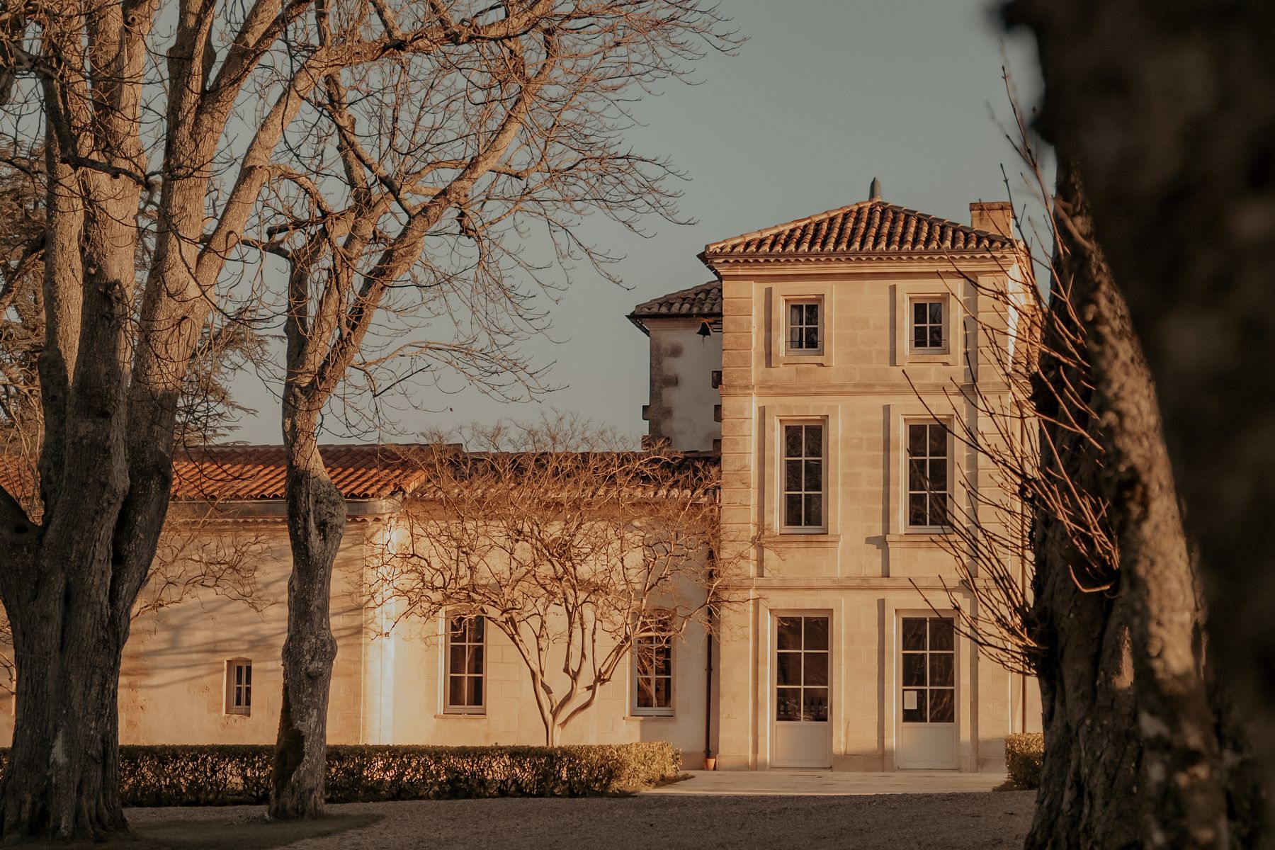 Das Château Fonroque im Abendlicht, gerahmt von den kahlen Platanen der Zufahrt