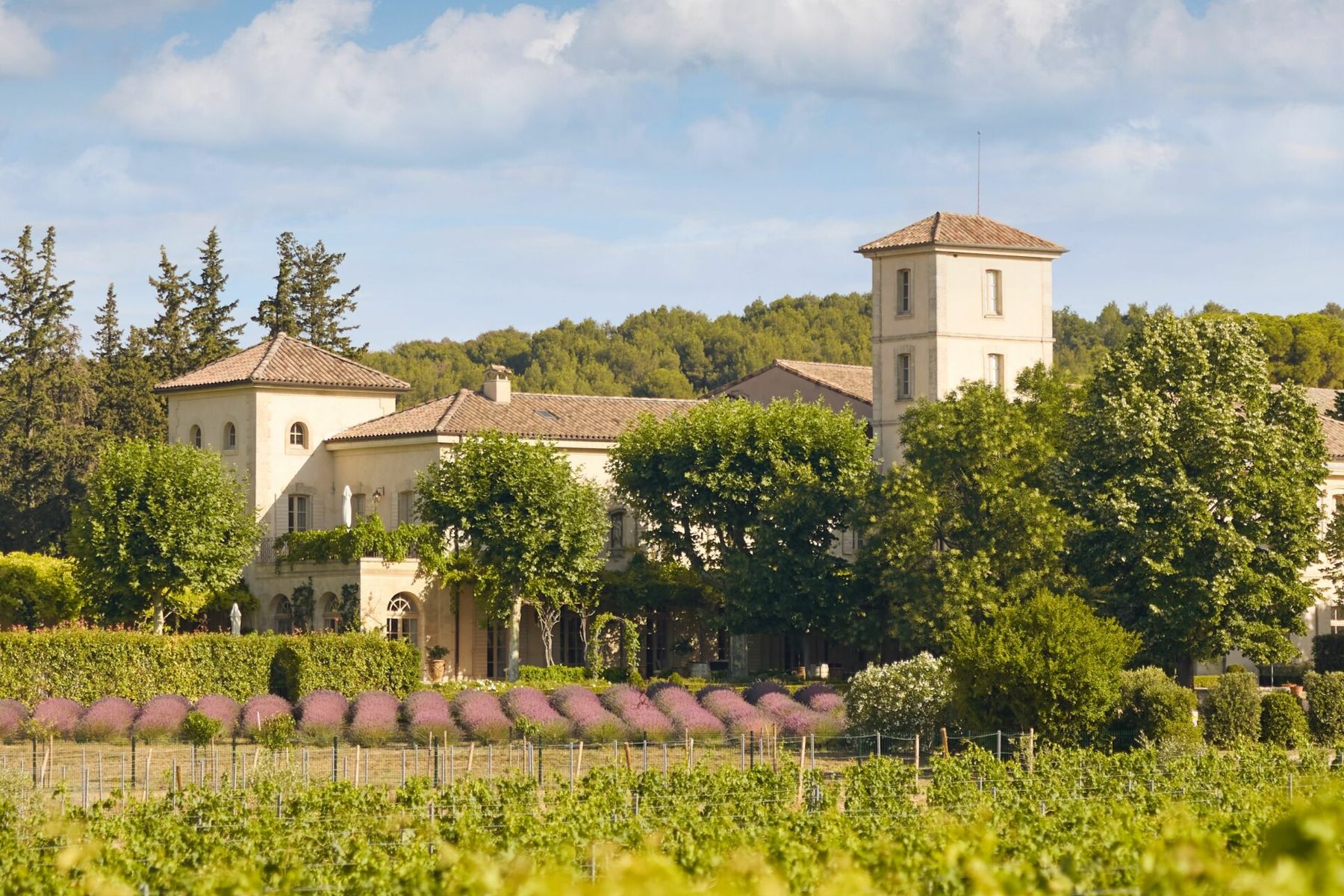 Das Château der Domaine Gigognan hinter den Weinbergen von Châteauneuf-du-Pape